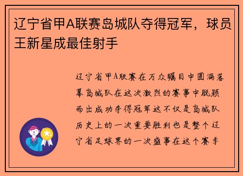 辽宁省甲A联赛岛城队夺得冠军，球员王新星成最佳射手