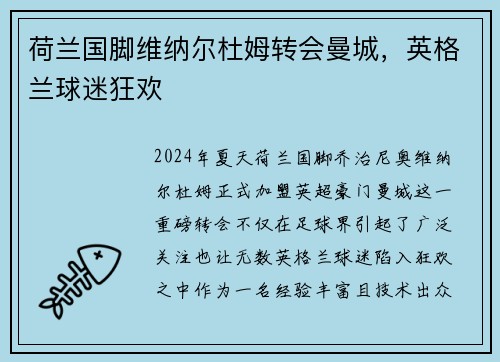荷兰国脚维纳尔杜姆转会曼城，英格兰球迷狂欢